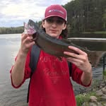 Thomas Collings - @thomascollings - Instagram