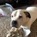 Thomas Conneely - Facebook