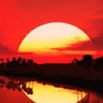 @thoma_sconners - Instagram