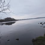 Thomas Conroy - @thomasconroy38 - Instagram