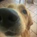 Thomas Constable - Facebook