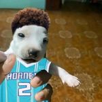 Thomas Contreras - @santiago_contre98 - Instagram