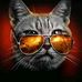Thomas Contreras - Facebook