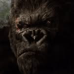Thomas Coombs - @silverback_thc - Instagram