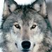 Thomas Copenhaver - Facebook
