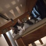 thomas Core - @_thomas_core - Instagram