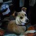 Thomas Cotner - Facebook