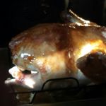 Thomas Cottrell - @cottrell7135 - Instagram