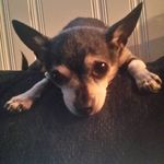 Thomas Francis Coulas - @thomascoulas - Instagram