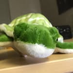 Thomas Covington - @tom_dragon_trainer_in_training - Instagram