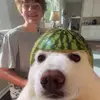 thomascower - @thomascower1 - TikTok