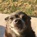 Thomas Crandell - Facebook