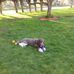 Thomas Crandell - Facebook