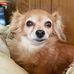 Thomas Cranfill - Facebook