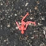 Thomas Creel - @moldytoast12 - Instagram
