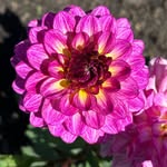 Thomas Creelman - @creelmanthomas - Instagram
