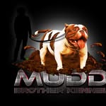 Thomas Crenshaw - @muddbrother_kennel_ - Instagram