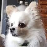 Thomas Crepeault - @thomascrepeaultjr95 - Instagram
