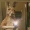 Thomas cristancho - @thomascristancho09 - TikTok