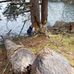 Thomas Crossman - Facebook