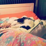 Thomas Crosson - @thomas.crosson.969 - Instagram