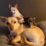 Thomas Crotzer - @tcrotzer - Instagram