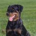 Thomas Crutcher - Facebook