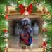 Tomas Cumbo - Facebook