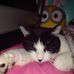Thomas Cupp - Facebook