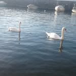 Thomas cuppone - @thomas.cuppone2006 - Instagram