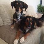 Thomas F Cupples - @thermocupples - Instagram