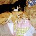 Thomas Custer - Facebook