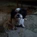 Tom Cutlip - Facebook