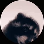 Alek Thomas Czech - @alek_czech - Instagram