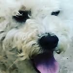 Thomas Dabrowski - @thomas._.014_ - Instagram