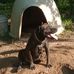 Thomas Dade - Facebook