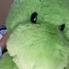 thomasdadon - @the_thomastheturtle - TikTok