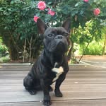 Thomas Dahm - @dahm.t - Instagram