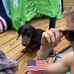 Thomas Dameron - Facebook