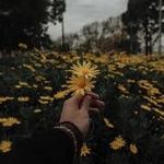 thomas dameron - @tom_spamms - Instagram