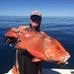Tom Dancer - Facebook