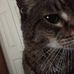 Thomas Daniell - Facebook