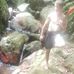 Thomas Dare - Facebook