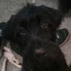 Thomas Darrington!! - @thomas_4579 - TikTok