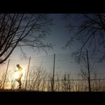 Thomas Dauer - @hades4594 - Instagram