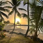 Thomas Daum Jr. - @daumjr.thomas - Instagram