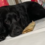 Thomas dawes - @tomdawes110312 - Instagram
