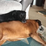 Thomas Day - @thomasday532367 - Instagram