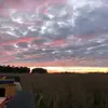 Thomas Day - @thomasday1424 - TikTok