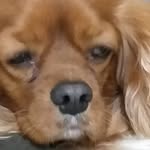 Thomas - @thomas.debusschere2307 - Instagram